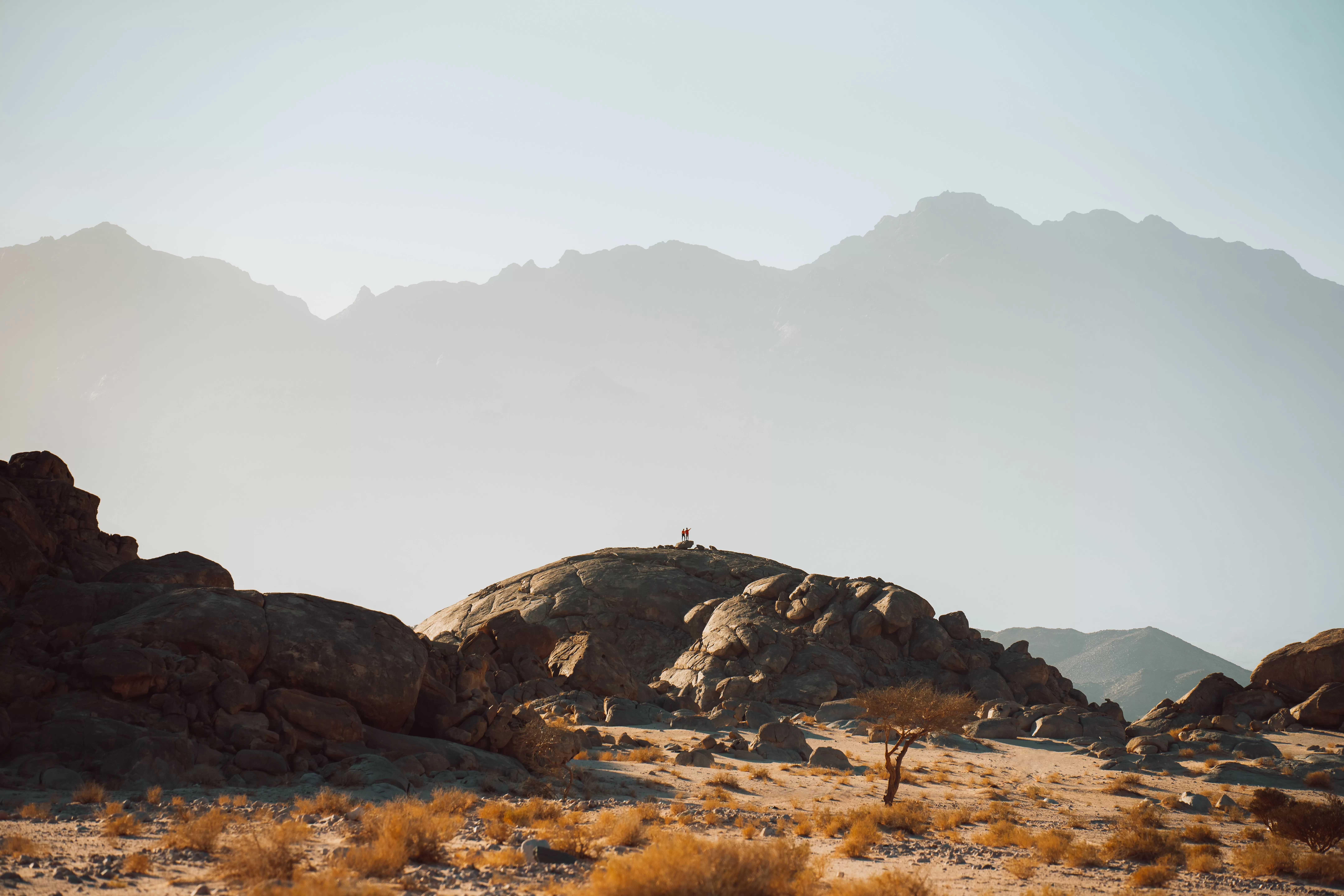 neom-z4ELCkNmnz0-unsplash.jpg